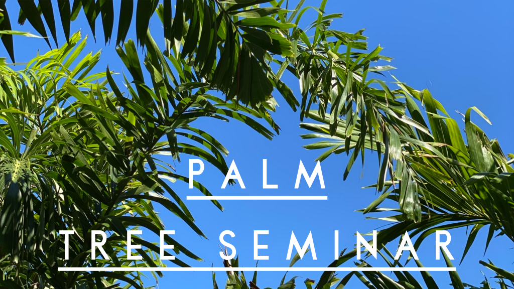 Palm Tree Seminar Cover