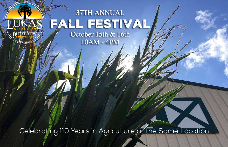 Fall Festival Banner 37th Annual 2022