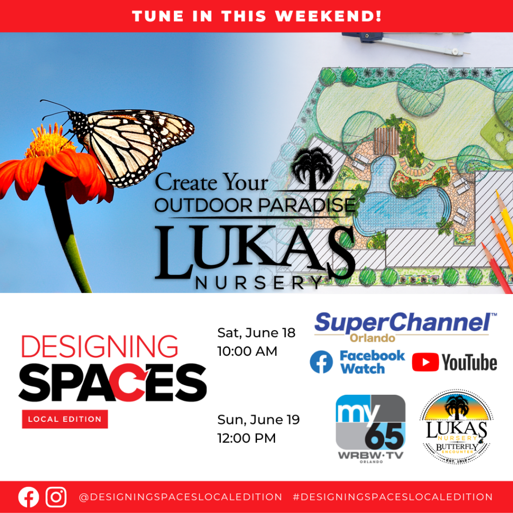 Tune In - Designing Spaces Local Orlando 6-18-22