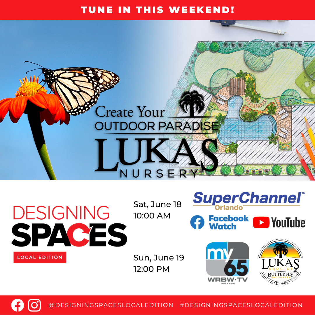 Tune In - Designing Spaces Local Orlando 6-18-22