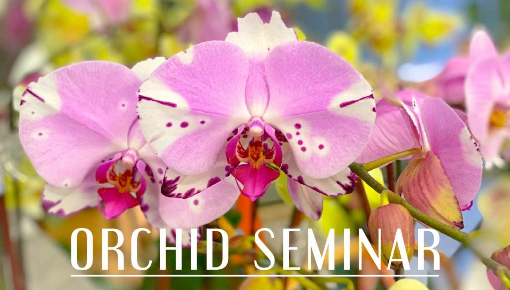 Orchid Seminar