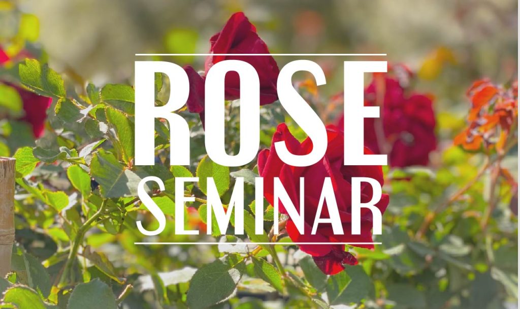 Rose Seminar