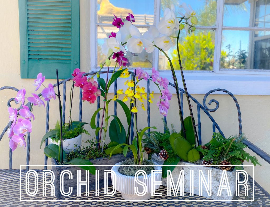 Orchid Centerpieces w Title