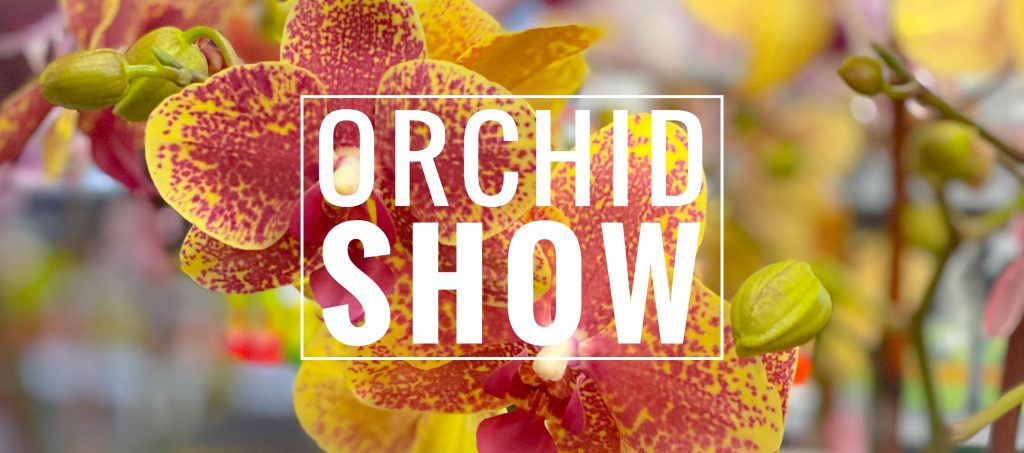 Orchid show banner