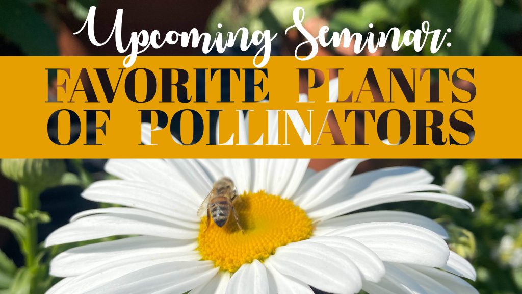 Fav Plants Pollinators Cover