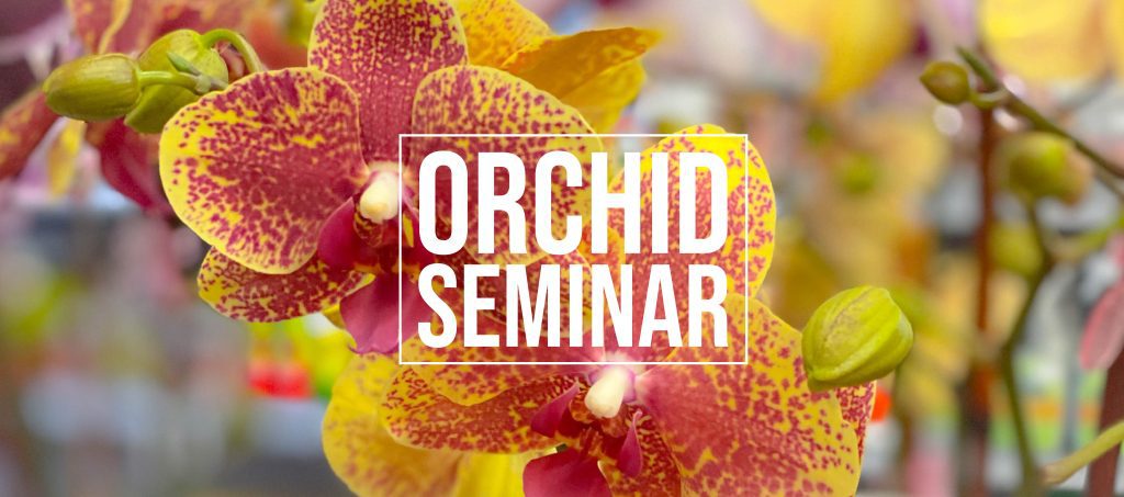 Orchid Seminar Orange Cover