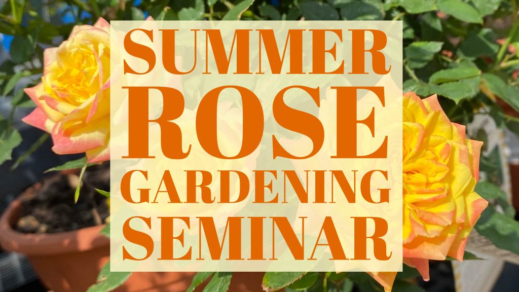 Summer Rose Seminar