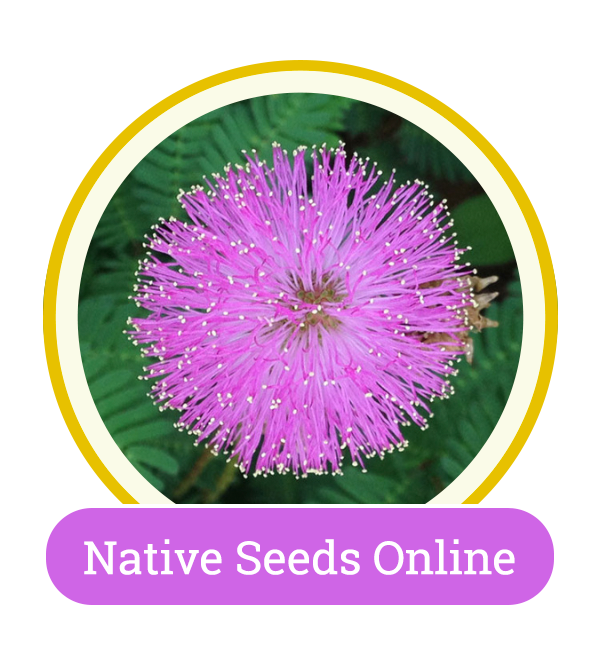 native seed homepage circle