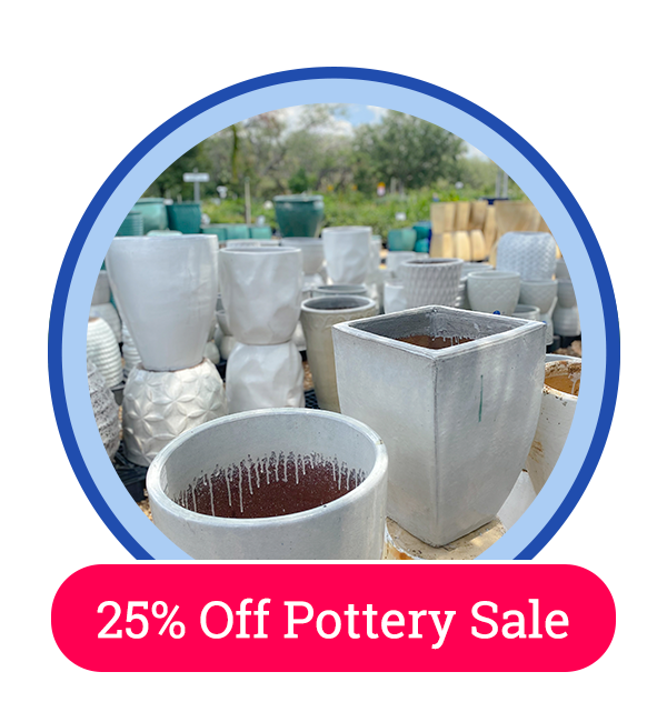 25% off pottery