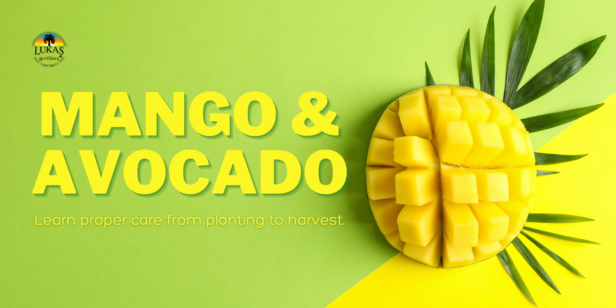 Mango & Avocado Seminar