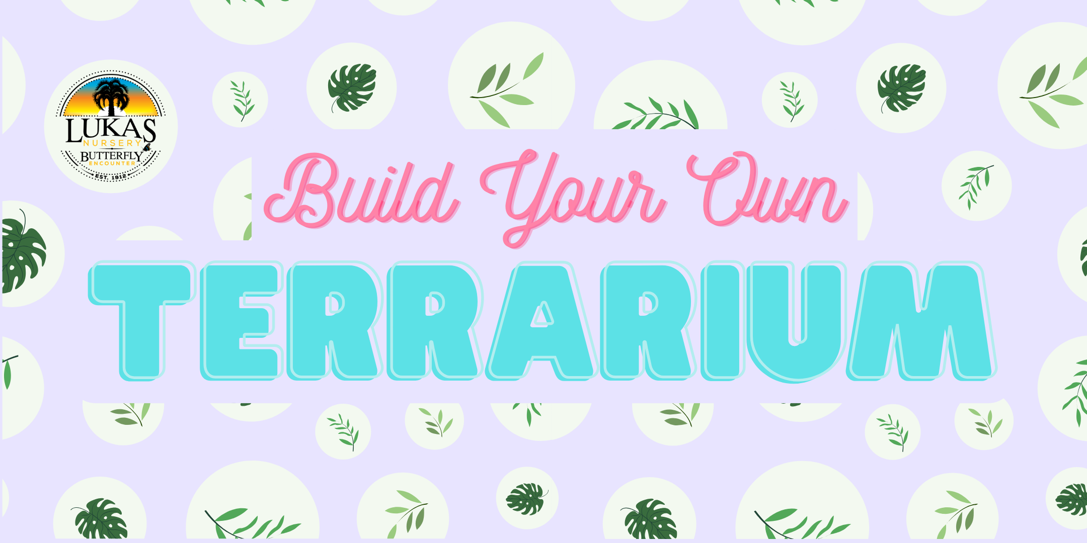 Build Your Own Terrarium